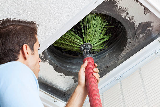 Affordable HVAC Duct Cleaning in LA